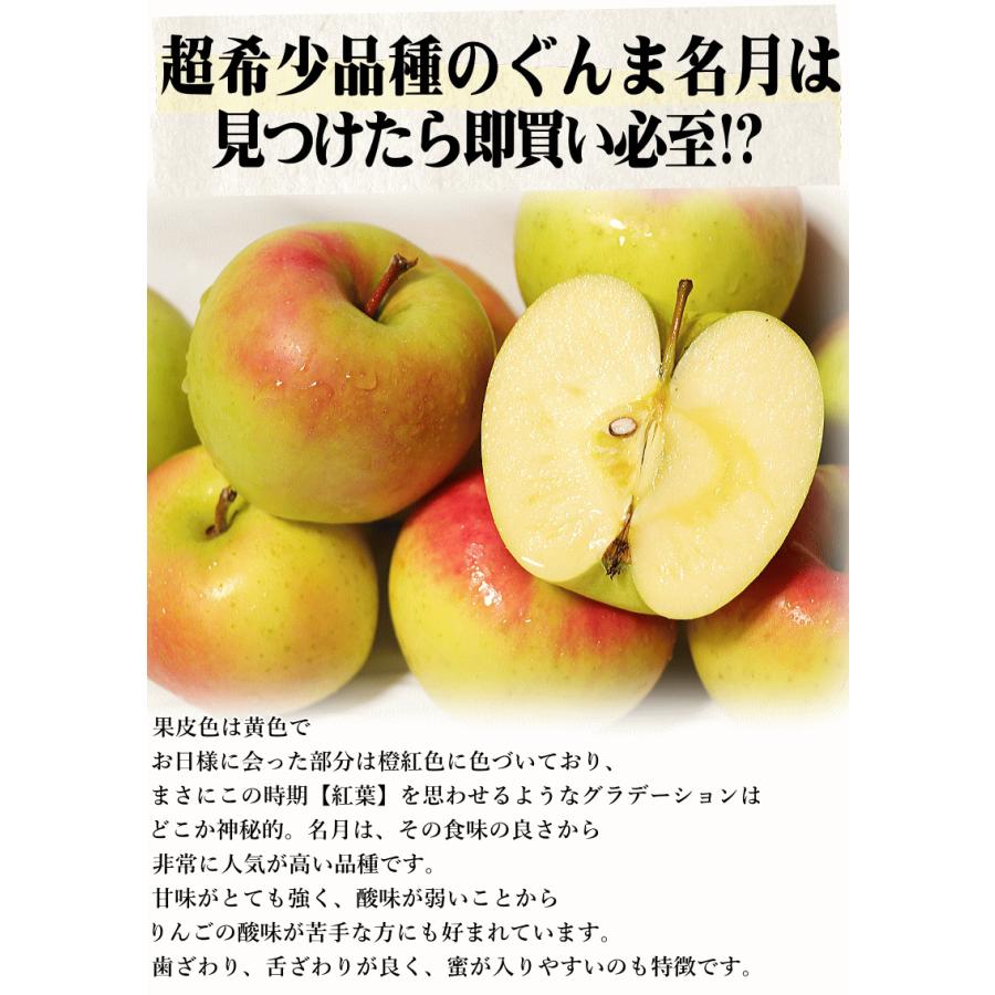 即日発送 青森 りんご 5kg箱 家庭用/訳あり ぐんま名月 送料無料 青森 リンゴ 5キロ 名月★名月 家訳 5kg箱 |  | 13