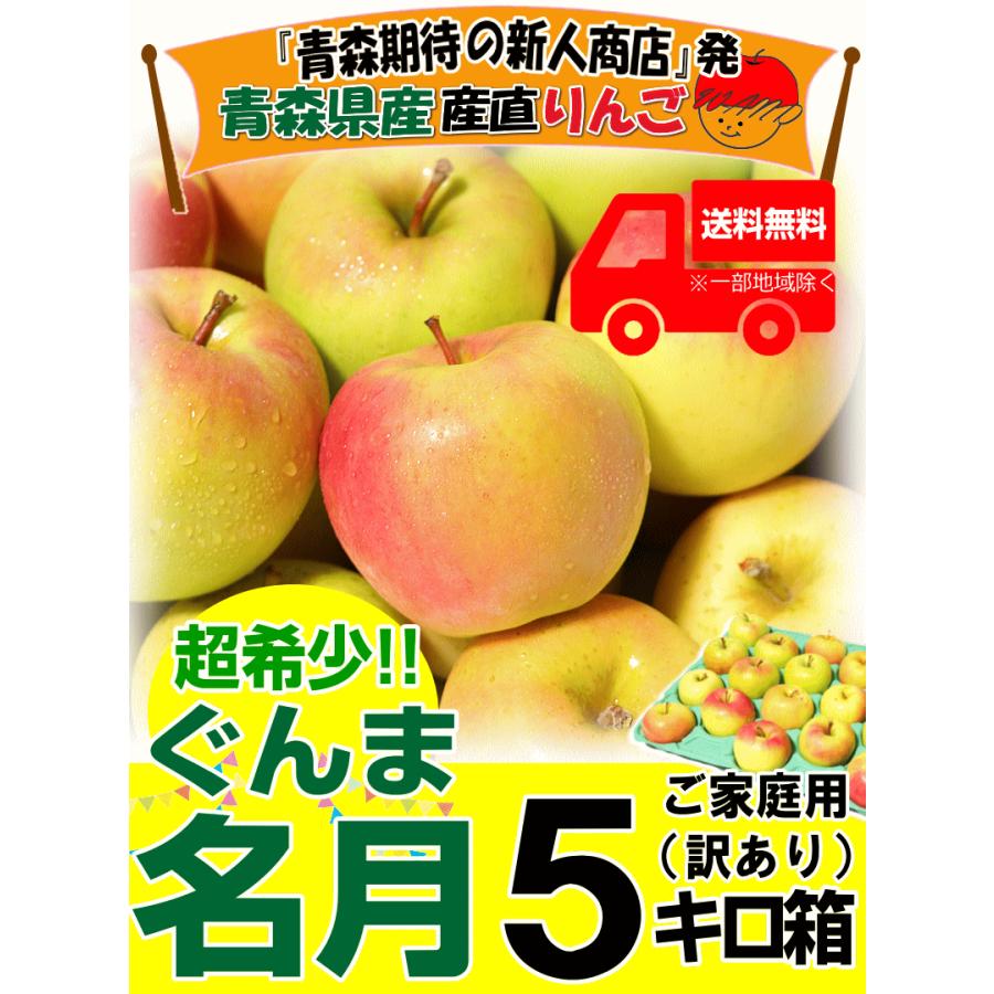 クーポン10％引き！即日発送 青森 りんご 5kg箱 家庭用/訳あり ぐんま