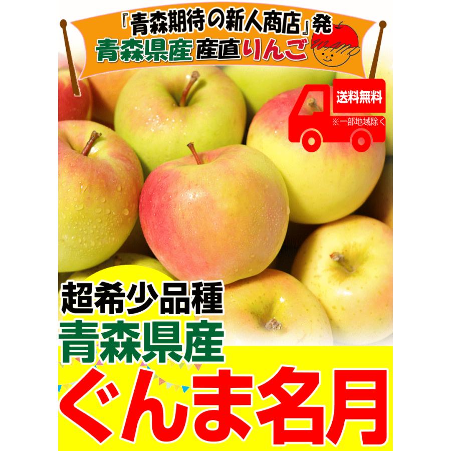 クーポン最大700円！お試し 格安 青森 りんご 2kg箱 家庭用/訳あり ぐんま名月 送料無料 青森 リンゴ 2キロ 名月★名月 家訳 2kg箱 |  | 01