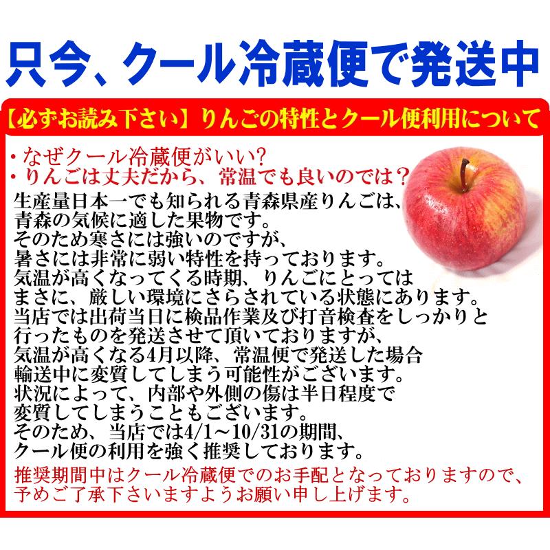 青森 りんご シナノスイート 5kg箱 クール便 送料無料 家庭用/訳あり 青森 リンゴ 訳あり 5キロ箱★スイート 家訳 5kg箱｜world-wand｜03