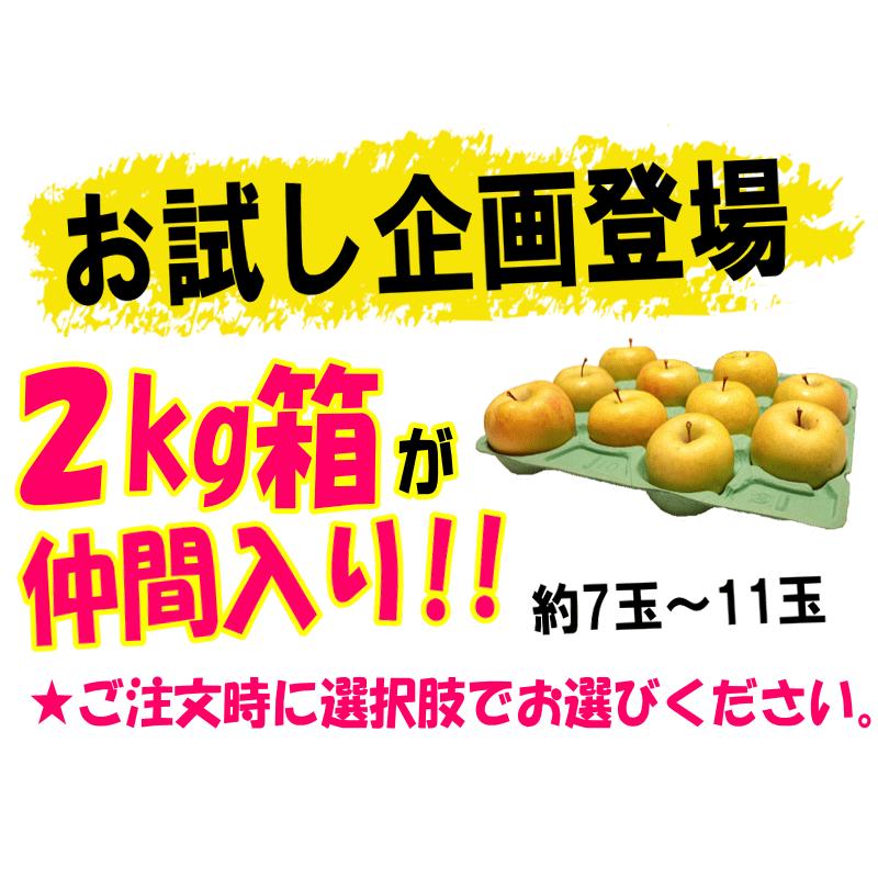 クーポン最大700円！お試し 格安 青森 りんご 2kg箱 家庭用/訳あり ぐんま名月 送料無料 青森 リンゴ 2キロ 名月★名月 家訳 2kg箱 |  | 03