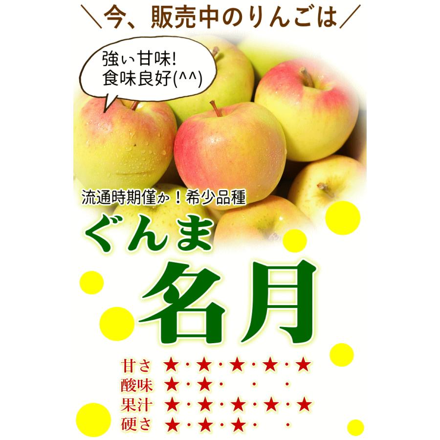 クーポン10％引き！即日発送 青森 りんご 5kg箱 家庭用/訳あり ぐんま