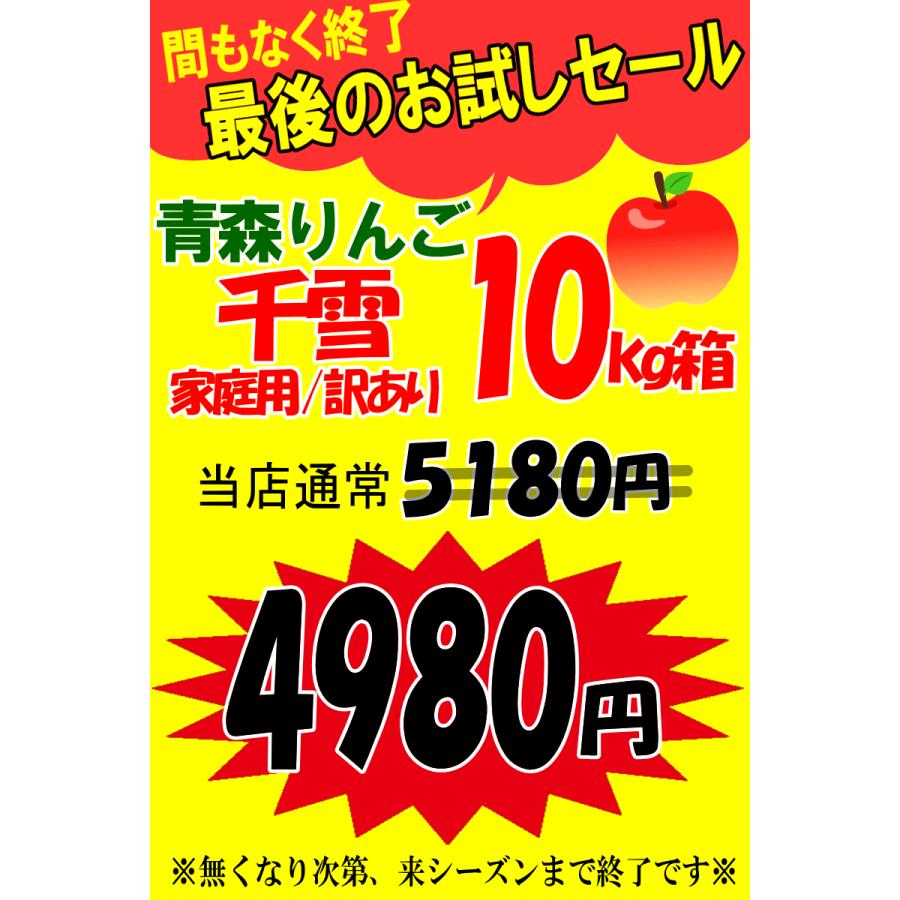 最終5180円⇒4980円！即日発送！青森 りんご 10kg箱 千雪 ちゆき ご