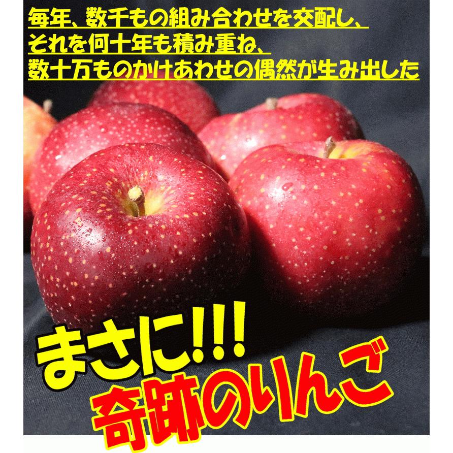 最終5180円⇒4980円！即日発送！青森 りんご 10kg箱 千雪 ちゆき ご