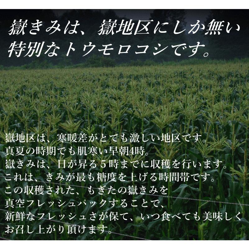 【送料無料】青森産 嶽きみ とうもろこし 5本セット 真空パック【ご注文後、最大3350円引き】青森 嶽産 トウモロコシ 真空 お取り寄せグルメ｜world-wand｜13