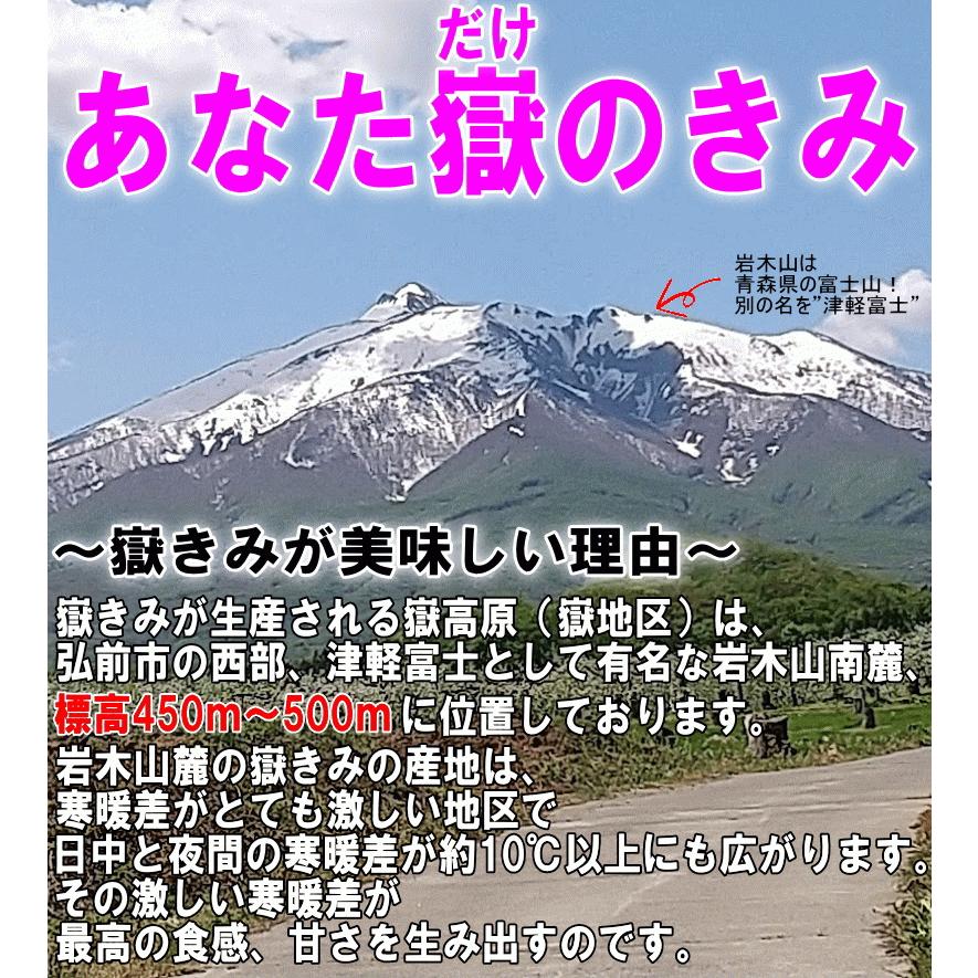 青森 嶽きみ とうもろこし 5本セット 真空パック 送料無料 最大3350円