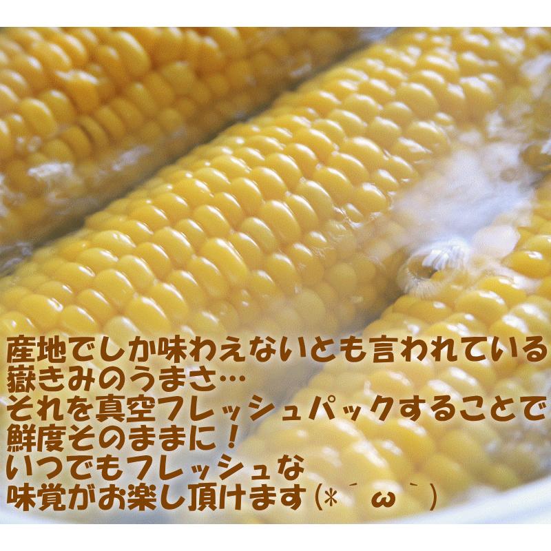 青森 嶽きみ とうもろこし 5本セット 真空パック 送料無料 最大3350円引き】青森 嶽産 トウモロコシ 真空 お取り寄せグルメ |  | 14