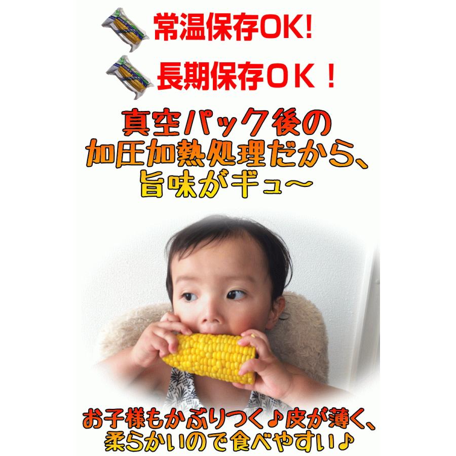 青森 嶽きみ とうもろこし 5本セット 真空パック 送料無料 最大3350円引き】青森 嶽産 トウモロコシ 真空 お取り寄せグルメ |  | 16