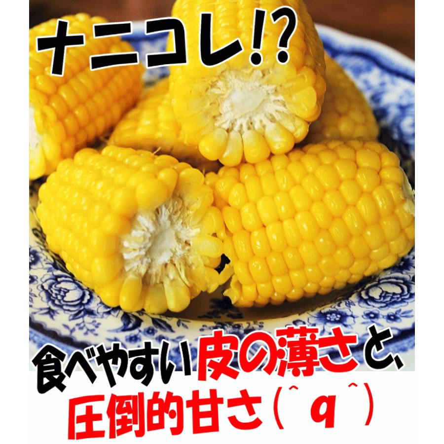 青森 嶽きみ とうもろこし 5本セット 真空パック 送料無料 最大3350円