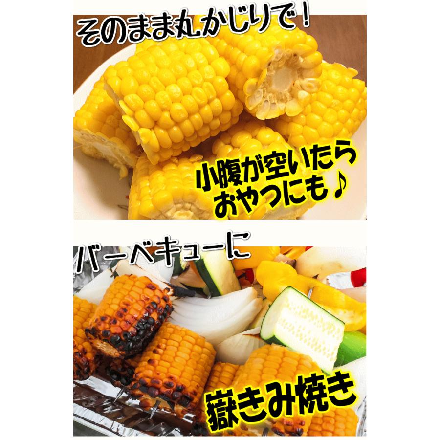 青森 嶽きみ とうもろこし 5本セット 真空パック 送料無料 最大3350円