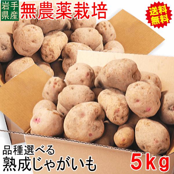オーガニック じゃがいも 5kg 送料無料 AB品混合 岩手県産 無農薬栽培