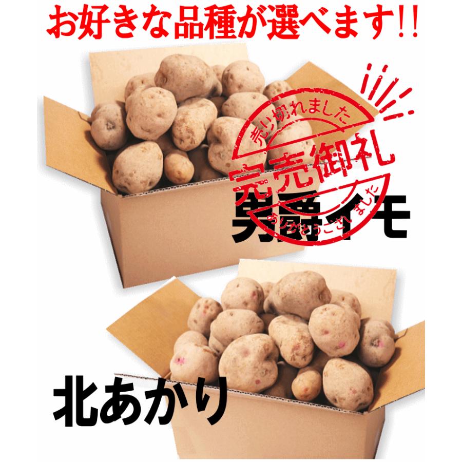 オーガニック じゃがいも 5kg 送料無料 AB品混合 岩手県産 無農薬栽培