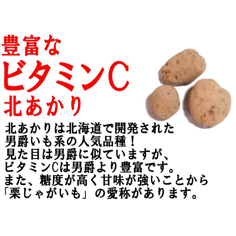 オーガニック じゃがいも 5kg 送料無料 AB品混合 岩手県産 無農薬栽培