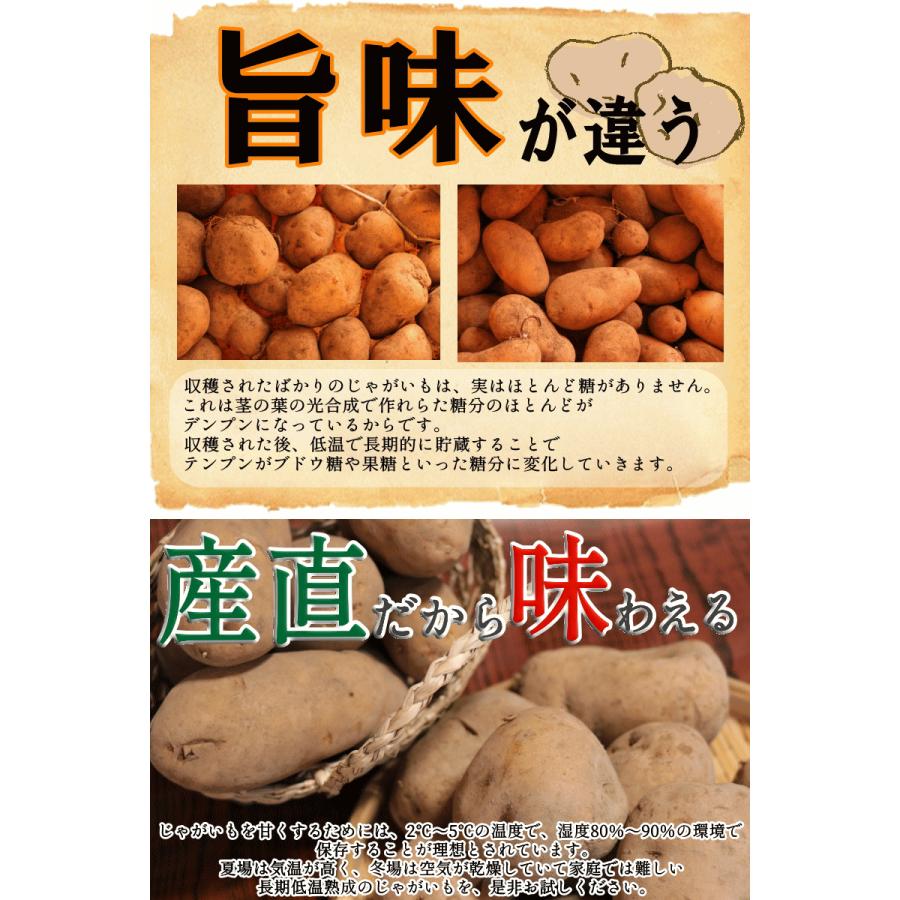 オーガニック じゃがいも 5kg 送料無料 AB品混合 岩手県産 無農薬栽培 