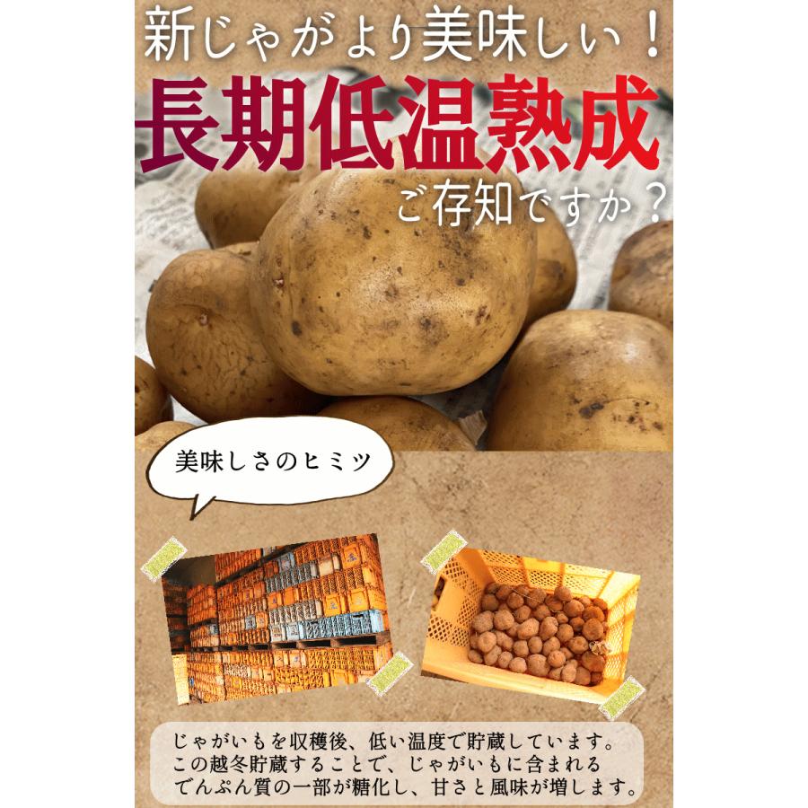 オーガニック じゃがいも 5kg 送料無料 AB品混合 岩手県産 無農薬栽培 
