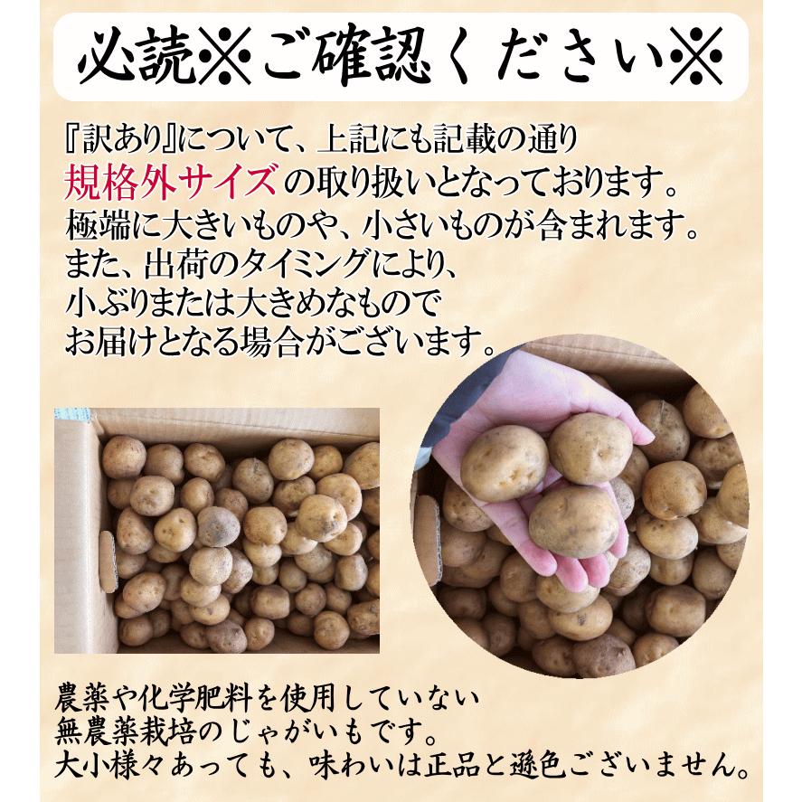オーガニック じゃがいも 10kg 送料無料 AB品混合 岩手県産 無農薬栽培