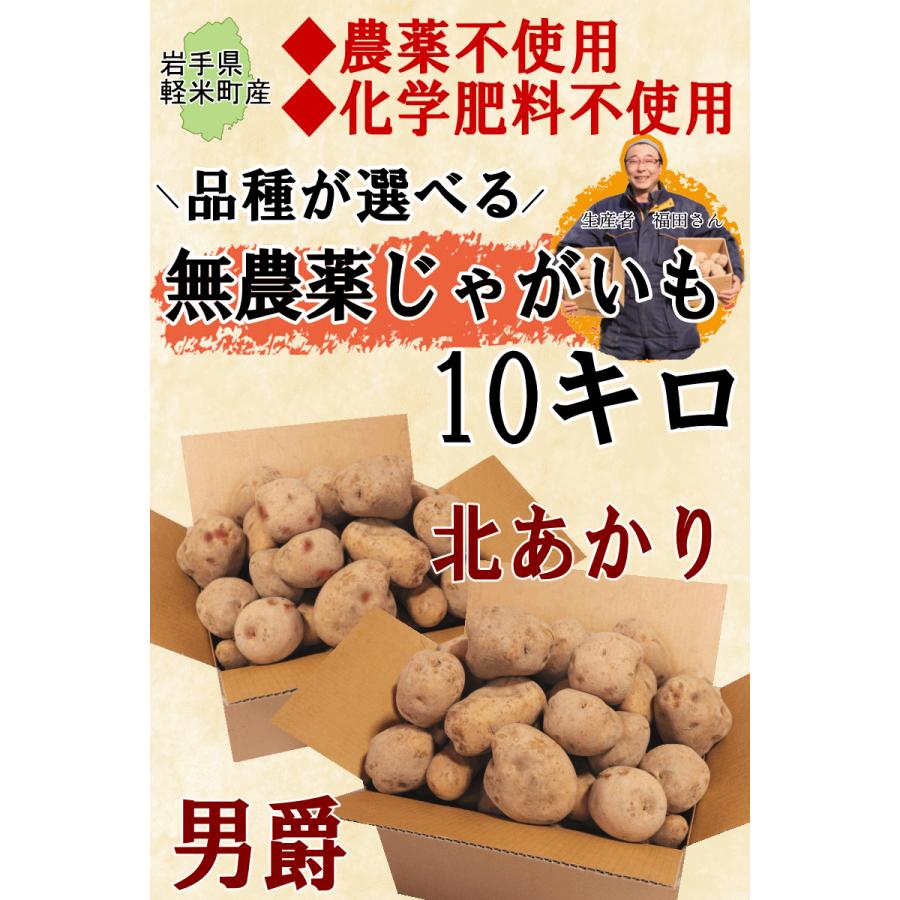 オーガニック じゃがいも 10kg 送料無料 AB品混合 岩手県産 無 オーガニック じゃがいも 10kg 送料無料 AB品混合 岩手県産 無