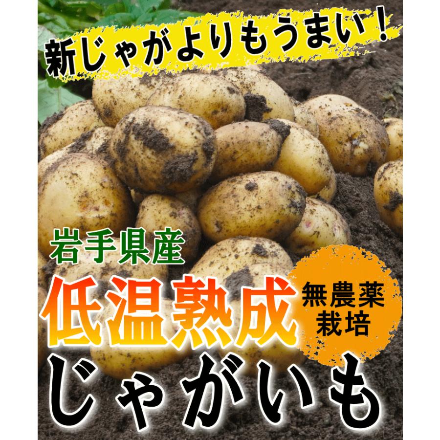 オーガニック じゃがいも 10kg 送料無料 AB品混合 岩手県産 無農薬栽培