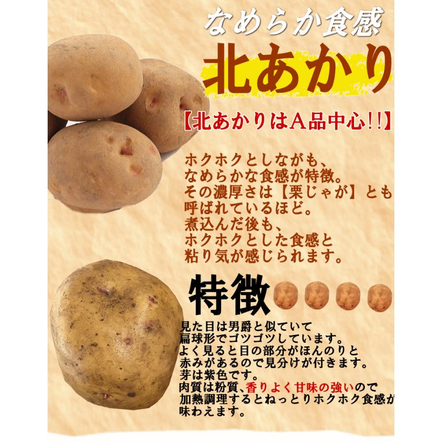 オーガニック じゃがいも 10kg 送料無料 AB品混合 岩手県産 無農薬栽培 