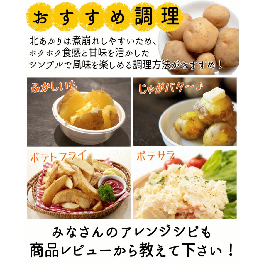 ①じゃがいも種芋　10kg 　　　　　　　　期間中無農薬栽培 オーガニック じゃがいも 10kg 送料無料 AB品混合 岩手県産 無農薬栽培