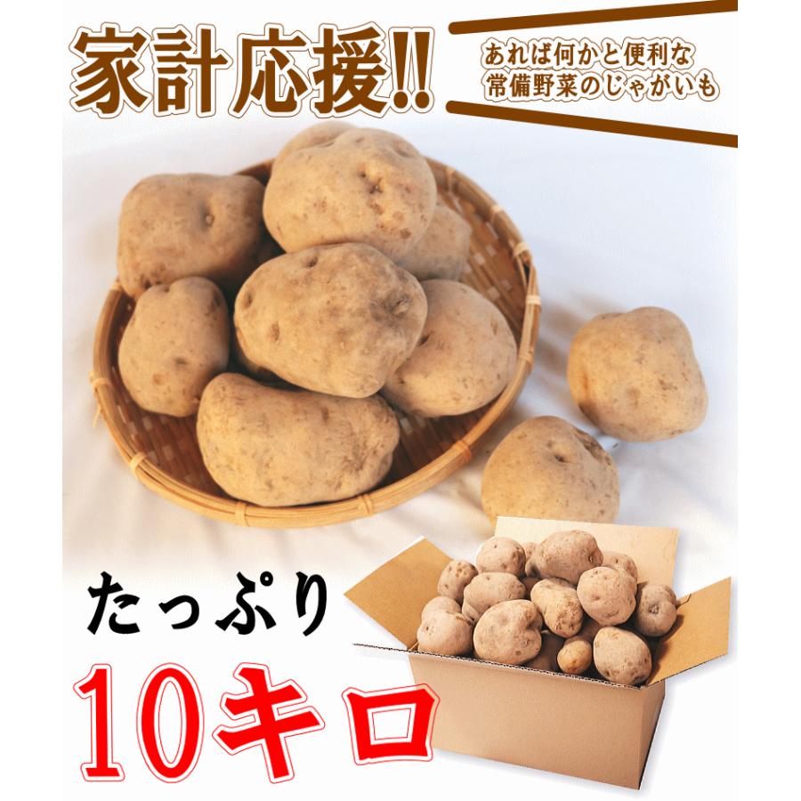 オーガニック じゃがいも 10kg 送料無料 AB品混合 岩手県産 無農薬栽培