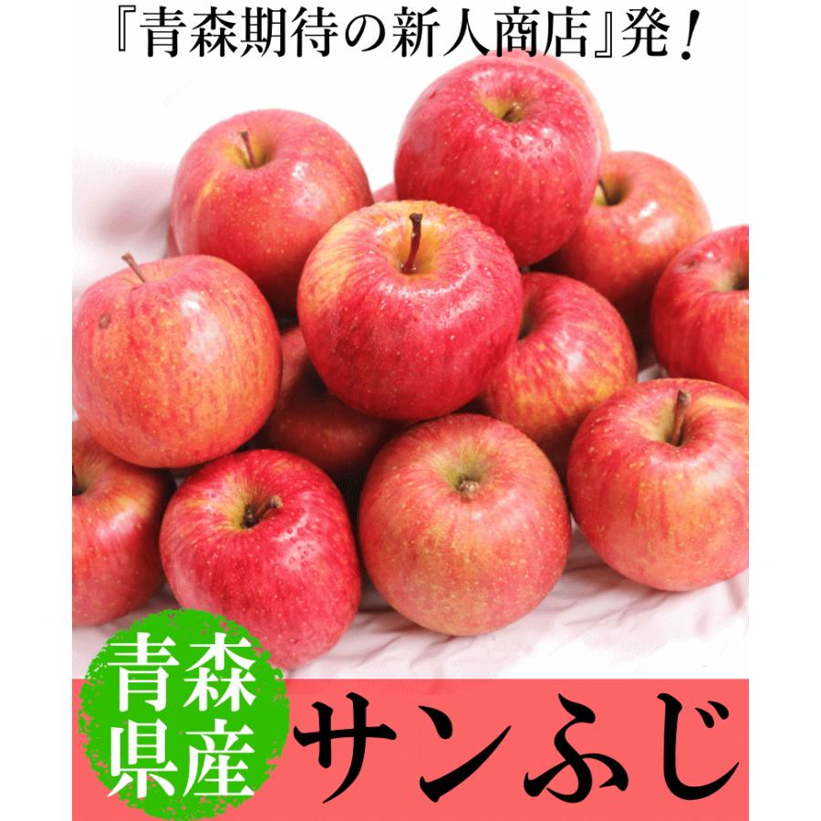 青森 りんご 10kg箱 訳あり/家庭用 サンふじ クール便対応 青森 りんご 10kg箱 訳あり/家庭用 サンふじ クール便対応