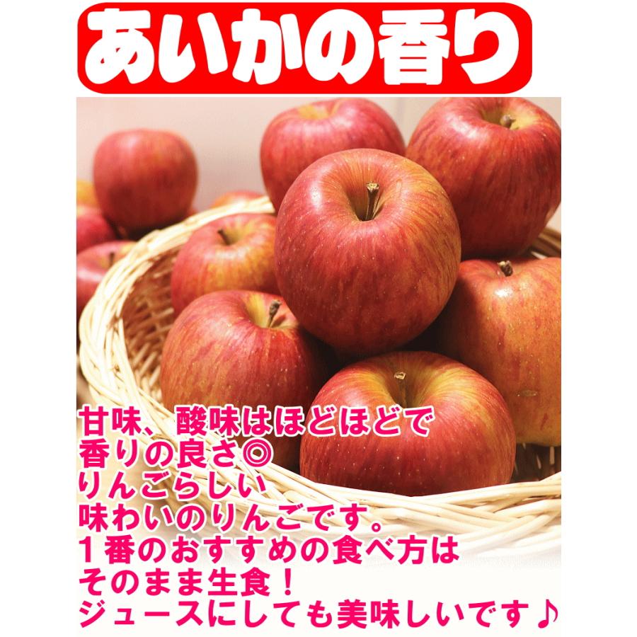 即日発送！りんご 10kg箱 家庭用/訳あり 青森 リンゴ 10キロ 金星始め