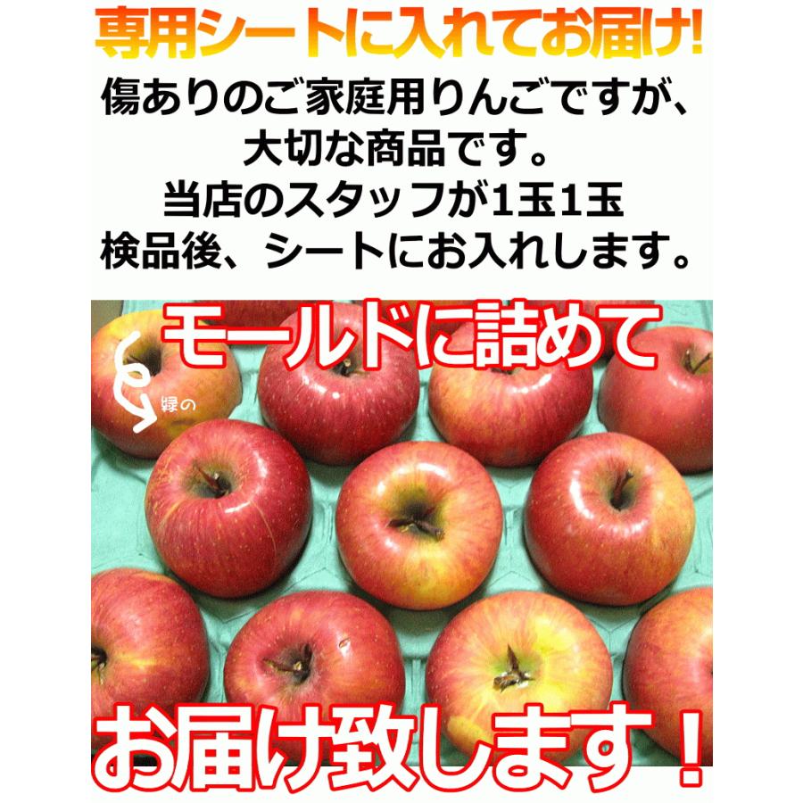 1年保証』 タイムセール中❗高糖度保証サンふじ １０キロ箱