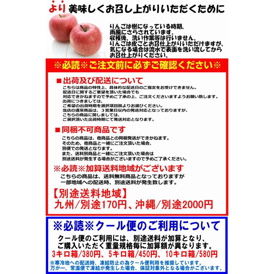 クーポンで3582円！予約 青森 りんご トキ 10kg箱【送料無料】家庭用 