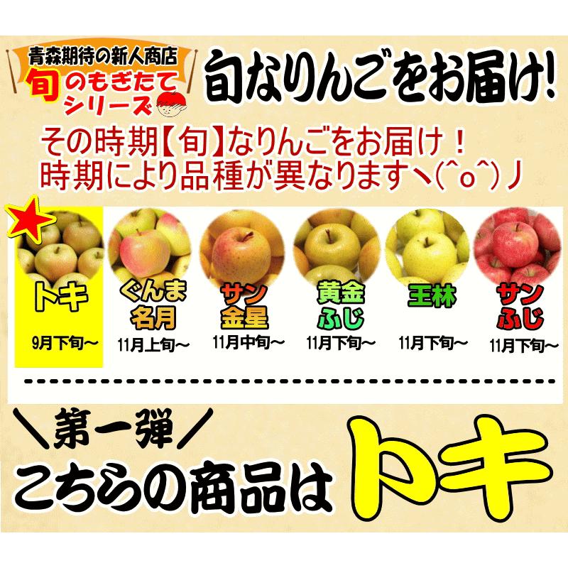 予約】青森 りんご トキ 10kg箱 送料無料 サンふじと王林の交配