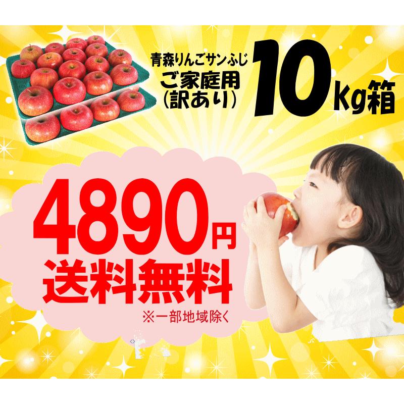セール！りんご 10kg箱 青森 リンゴ 訳あり/家庭用 サンふじ 送料無料 りんご 10キロ箱【家庭用訳あり】★サンふじ 家訳 10kg箱 |  | 02