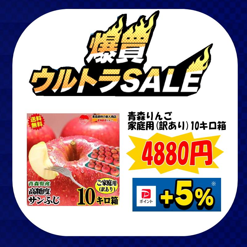 爆買！りんご 10kg箱 家庭用/訳あり 青森 リンゴ 10キロ 高糖度 サン