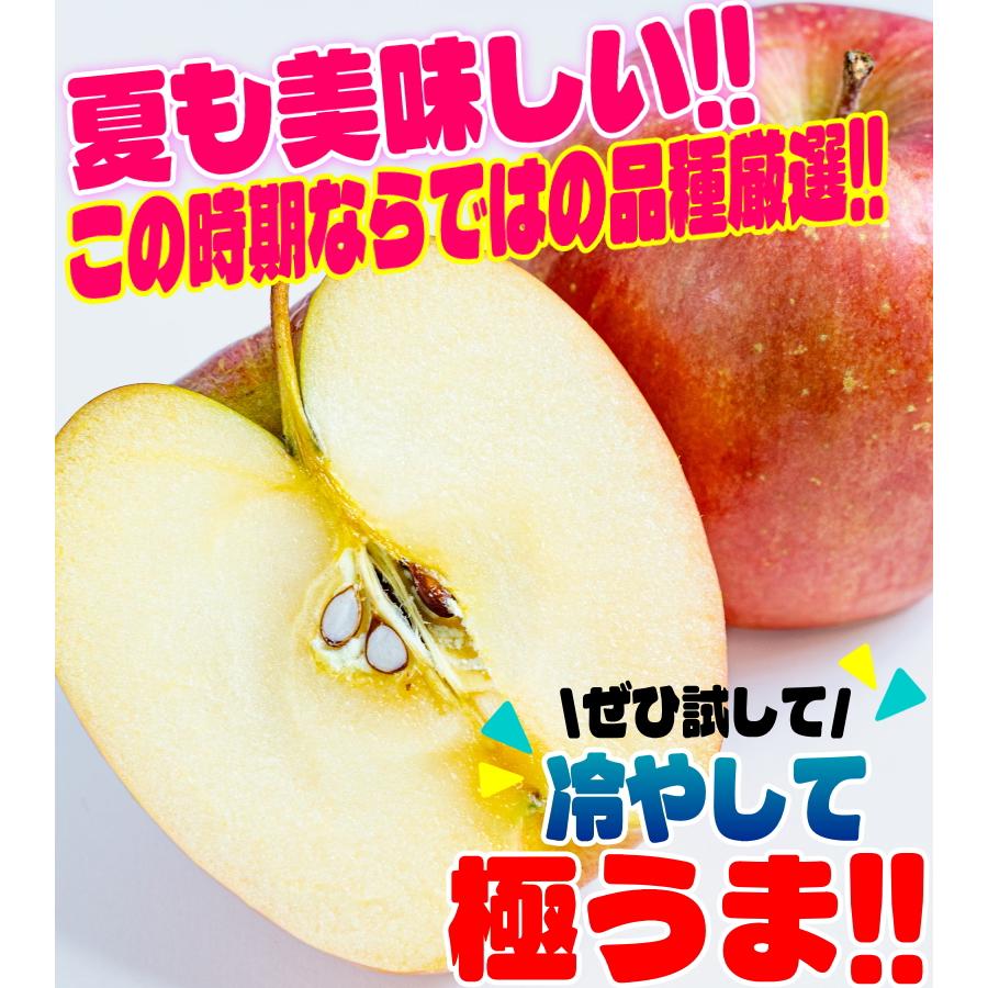 クーポンで10%引き！即日発送！りんご 10kg箱 家庭用/訳あり 青森