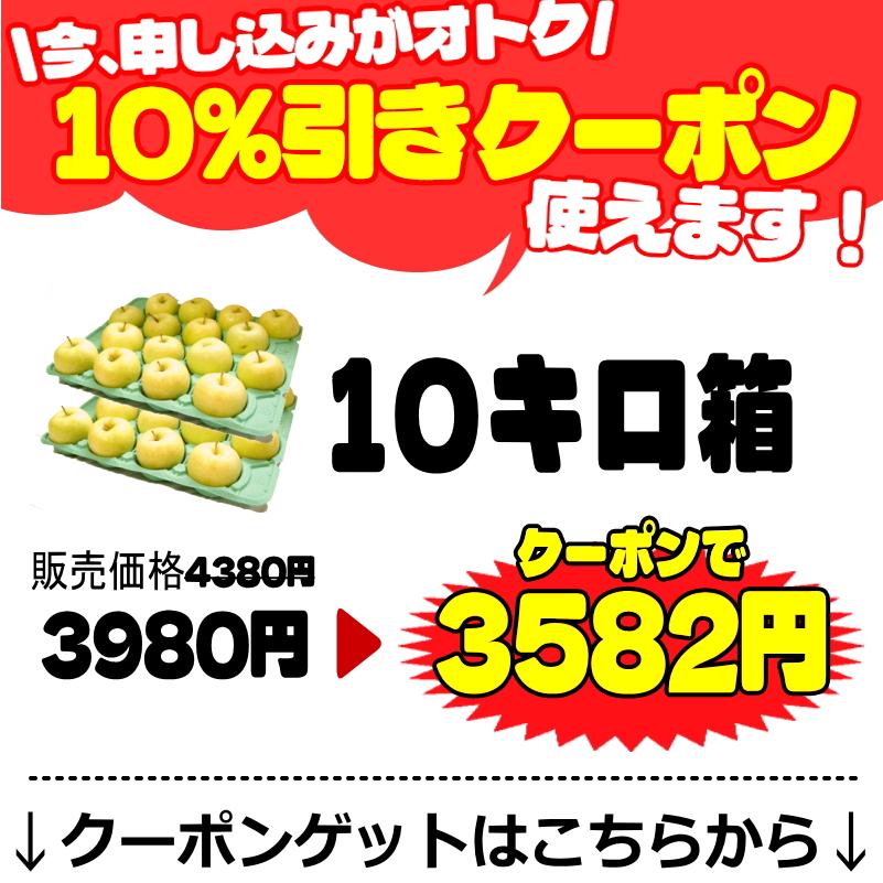 クーポンで3582円！青森 りんご 10kg箱 トキ 送料無料 サンふじと王林