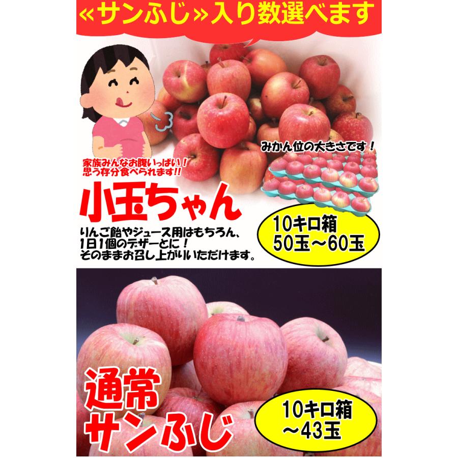 青森 りんご 10kg箱 訳あり/家庭用 サンふじ クール便対応 青森 りんご 10kg箱 訳あり/家庭用 サンふじ クール便対応