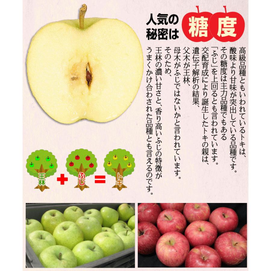 ＂ミニサイズりんご＂ 【 青森県産 家庭用 B品 りんご 10kg 】 産地直送 クーポンで10%引き！青森 りんご 10kg箱 トキ 送料無料 サンふじと王林