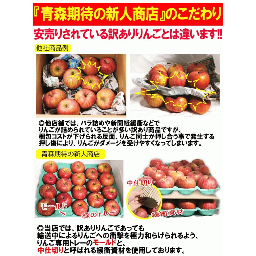 クーポンで0円引き 青森 りんご 10kg箱 サンふじ 家庭用 訳あり リンゴ 10キロ箱 送料無料 Iw10kg 青森期待の新人商店 通販 Yahoo ショッピング
