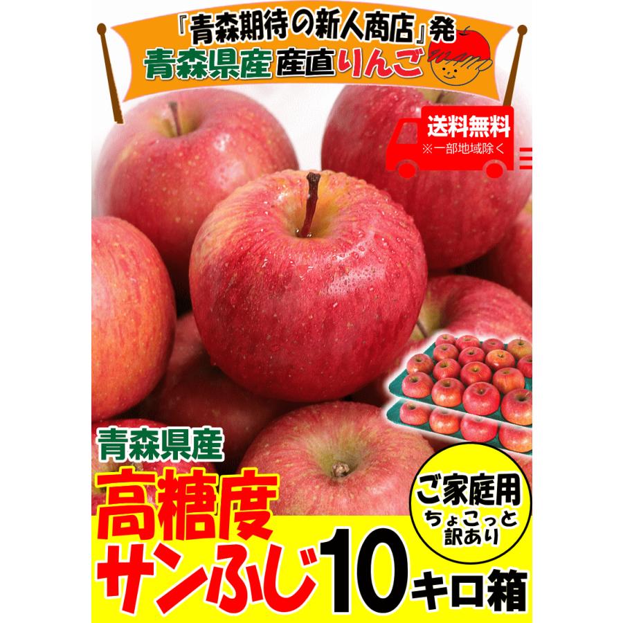 青森 りんご 10kg箱 訳あり/家庭用 サンふじ クール便対応 青森 りんご 10kg箱 訳あり/家庭用 サンふじ クール便対応