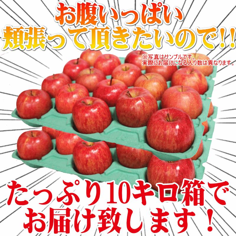 青森 りんご 10kg箱 訳あり/家庭用 サンふじ クール便対応 青森 りんご 10kg箱 訳あり/家庭用 サンふじ クール便対応