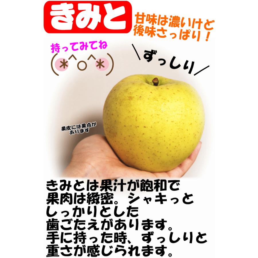 即日発送！りんご 10kg箱 家庭用/訳あり 青森 リンゴ 10キロ 金星始め
