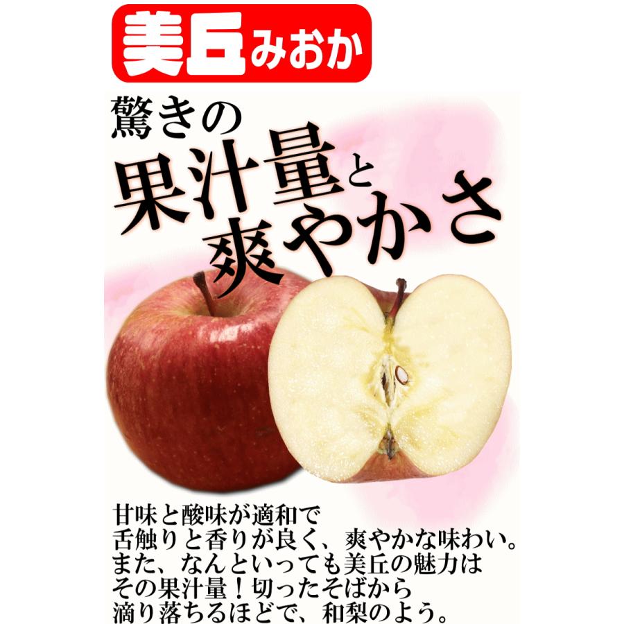 即日発送！りんご 10kg箱 家庭用/訳あり 青森 リンゴ 10キロ 金星始め