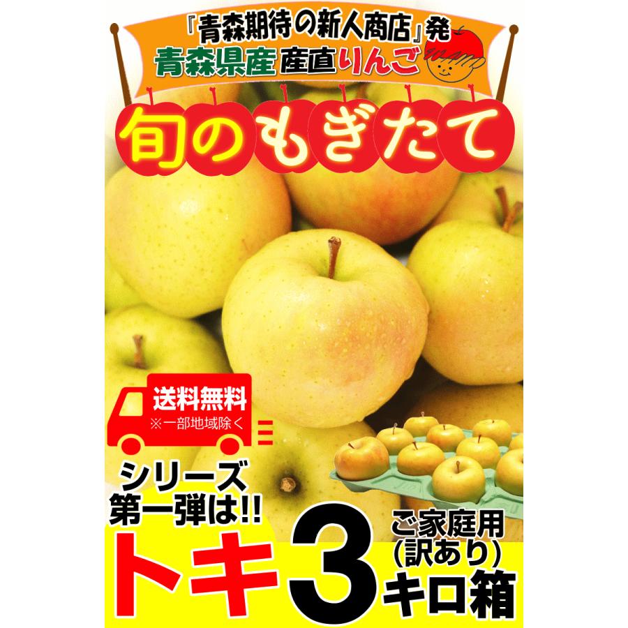 ご予約価格 青森 りんご 3kg箱 トキ 家庭用 訳あり 青森 リンゴ 訳あり 3キロ箱 りんご 減農薬 長野 生食用 紅玉 りんご B品 約4kg小玉12〜25個入 リンゴ 林檎 産地直送 小山 9g