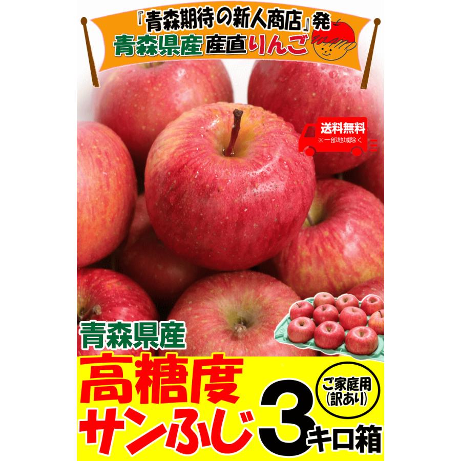 りんご 3kg箱 家庭用/訳あり 青森 リンゴ 3キロ サンふじ 送料無料
