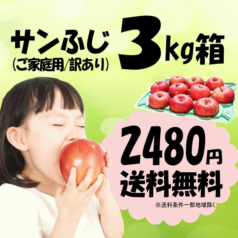 セール！りんご 3kg箱 青森 リンゴ 訳あり/家庭用 サンふじ 送料無料