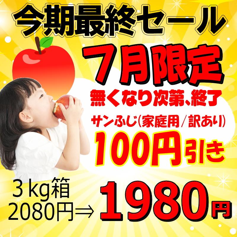 2080円⇒1980円！りんご 3kg箱 家庭用/訳あり 青森 リンゴ 3キロ サン 
