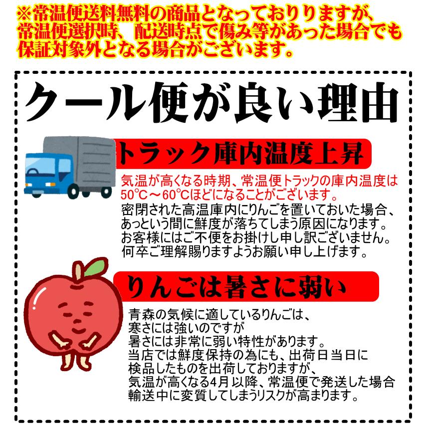 りんご 3kg箱 家庭用/訳あり 青森 リンゴ 3キロ サンふじ 送料無料