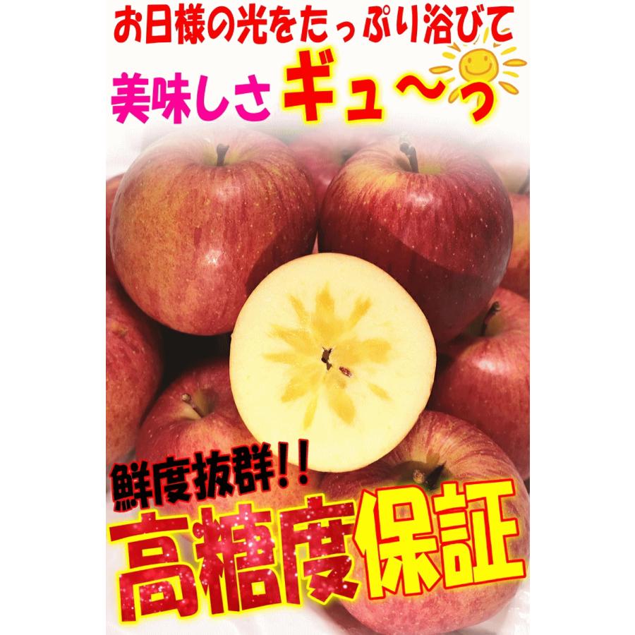 りんご 3kg箱 家庭用/訳あり 青森 リンゴ 3キロ サンふじ 送料無料 りんごリンゴ 訳あり 3キロ箱【家庭用訳あり】★サンふじ 家訳 3kg箱 |  | 09