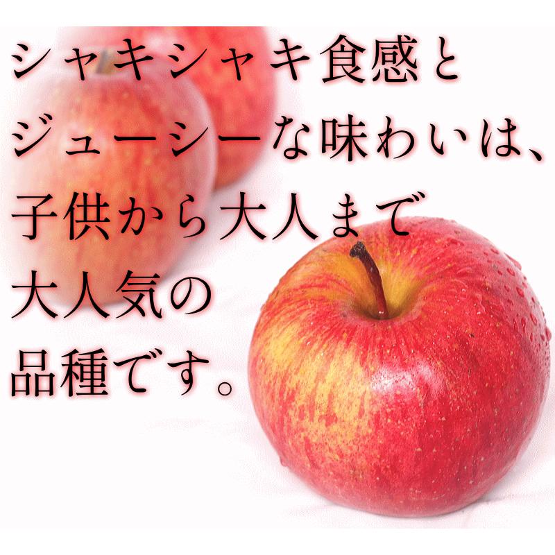 りんご 3kg箱 家庭用/訳あり 青森 リンゴ 3キロ サンふじ 送料無料 りんごリンゴ 訳あり 3キロ箱【家庭用訳あり】★サンふじ 家訳 3kg箱 |  | 03
