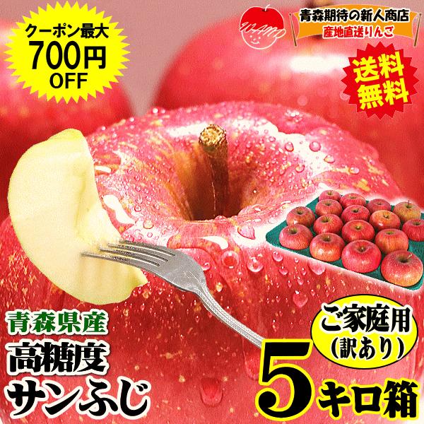 りんご 5kg箱 家庭用/訳あり 青森 リンゴ 5キロ 高糖度 サンふじ 送料無料 りんごリンゴ 訳あり 5キロ箱【家庭用訳あり】★サンふじ 家訳 5kg箱（Yahoo!・青森期待の新人商店）