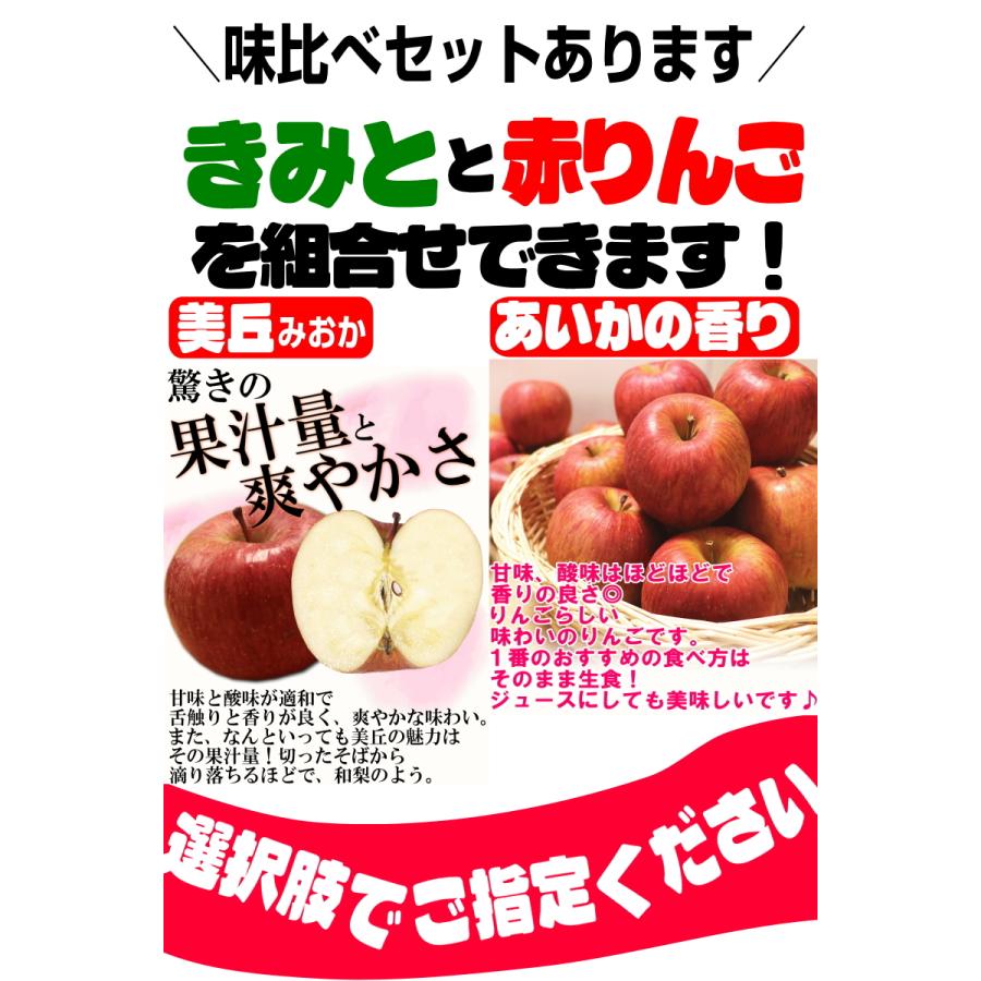クーポンで10%引き！即日発送！りんご 5kg箱 家庭用/訳あり 青森 リンゴ 5キロ 選べる品種 送料無料 ５キロ【家庭用訳あり】★選べる品種 家訳 5kg箱 |  | 09